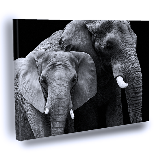 Cuadro Decorativo Pareja De Elefantes Blanco y Negro
