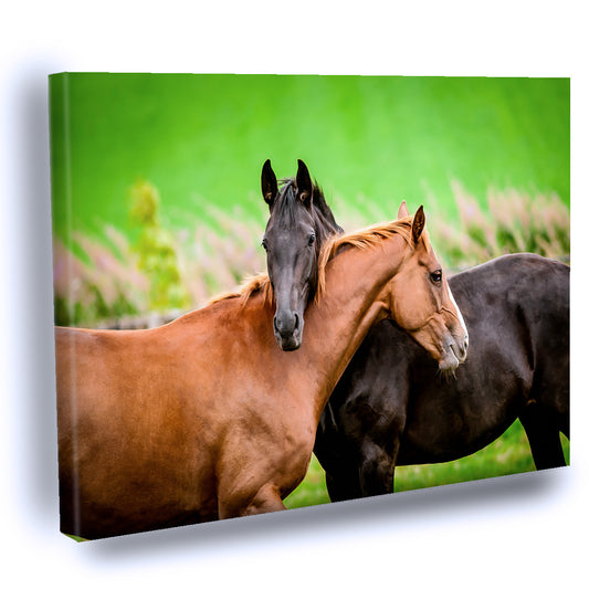 Cuadro Decorativo Pareja De Caballos Abrazados
