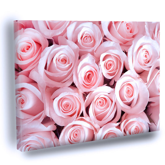 Cuadro Decorativo De Rosas Rosas
